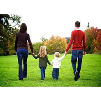 دانلود مقاله در مورد نظرگاه‌ های فمینیستی درباره‌ی تولید مثل و خانواده