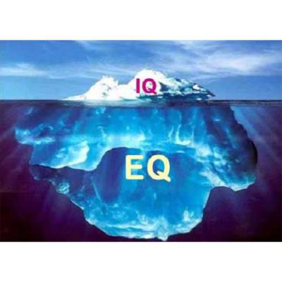 دانلود پروپزال هوش هیجانی