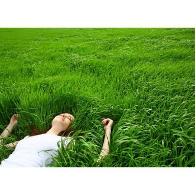 دانلود مقاله در مورد آرامش ذهنی