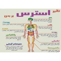 دانلود مقاله در مورد نقش استرس در سلامت فرد