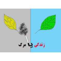 دانلود مقاله در مورد شناخت انواع مواد مخدر و مضرات اعتياد